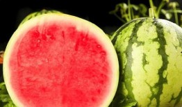 全国免费吃瓜网站有哪些