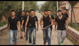 致青春兄弟篇在线观看,再续青春梦