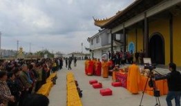 明月禅寺爆料视频大全集,视频大全集深度解析