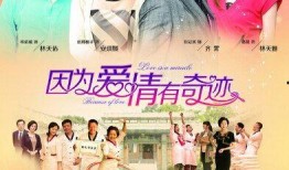 因为爱情电视剧在线观看,重温甜蜜爱情故事，在线观看浪漫瞬间