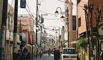 东京万字会最新爆料,最新爆料背后的惊人真相
