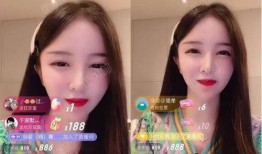 惠子直播爆料最新消息,最新消息大揭秘！