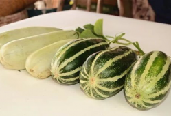 吃瓜香的网红叫什么来着,揭秘“吃瓜香”网红的爆红之路