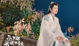 丫环最新爆料视频播放在线观看,揭秘幕后真相，在线观看不容错过！