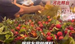 爆料榴莲的视频,独特风味背后的秘密大公开
